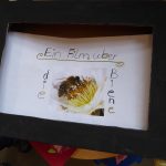Ein Film über die Biene